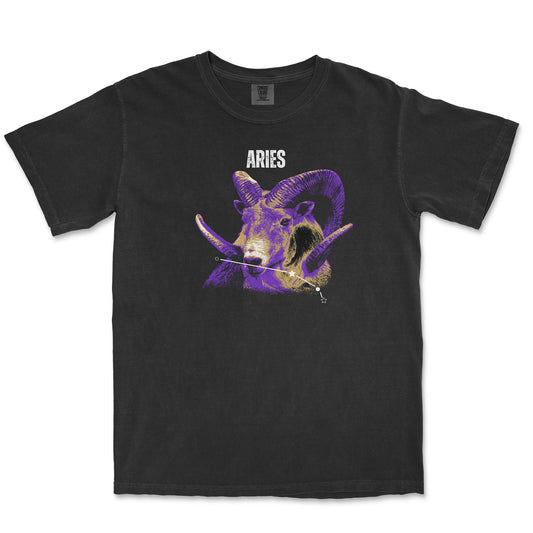 Aries Constellation T-Shirts